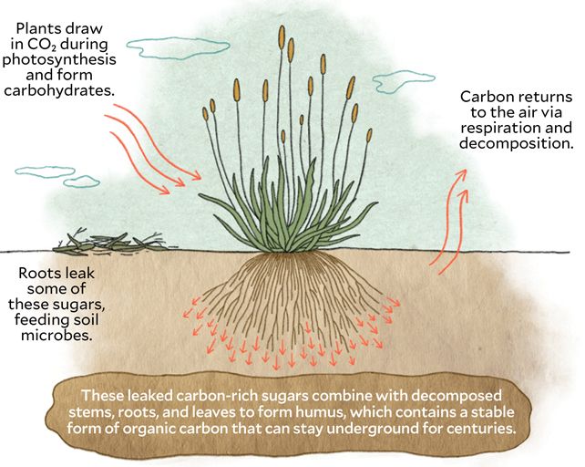 co2.jpg